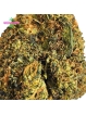 Fleur Cap Junky