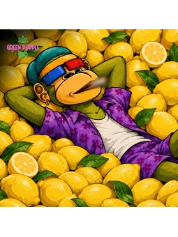 Pré-roll 1G Félozine Lemon de King Kush