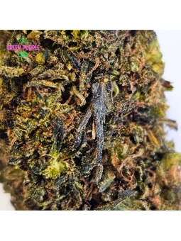 Fleur Super Lemon Haze 🍋💤🛌