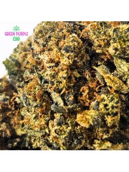 Fleur Amnesia JSH