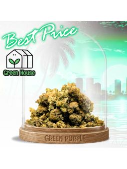 Fleur Small Bud Mango Haze 🔗🥭