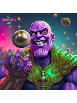 RESINE MULTIVERSE