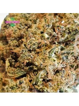 Fleur G13 Haze 👽