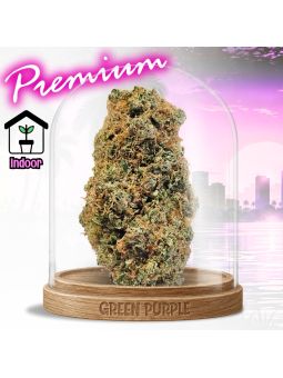 PROMOTION Fleur Magnum Cali CBD