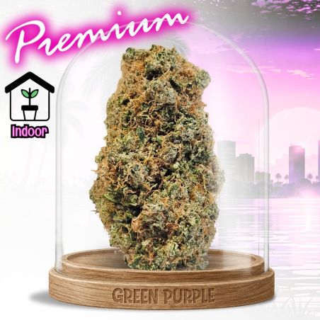 PROMOTION Fleur Magnum Cali CBD
