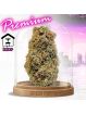 PROMOTION Fleur Magnum Cali CBD