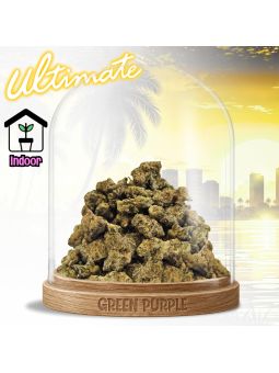 PROMOTION Fleur NL'X [MEDIUM/SMALL BUD] 🚗