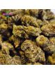 PROMOTION Fleur NL'X [MEDIUM/SMALL BUD] 🚗