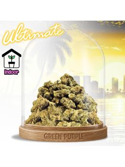 PROMOTION Fleur Sky OG [ MEDIUM/SMALL BUD ] ✈️