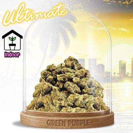 PROMOTION Fleur Sky OG [ MEDIUM/SMALL BUD ] ✈️