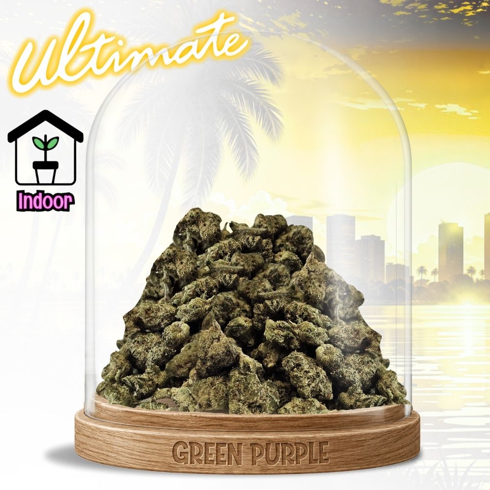 PROMOTION Fleur Blueberry [MEDIUM/SMALL BUD] 🎸