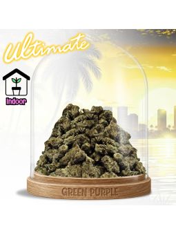 PROMOTION Fleur Blueberry [MEDIUM/SMALL BUD] 🎸