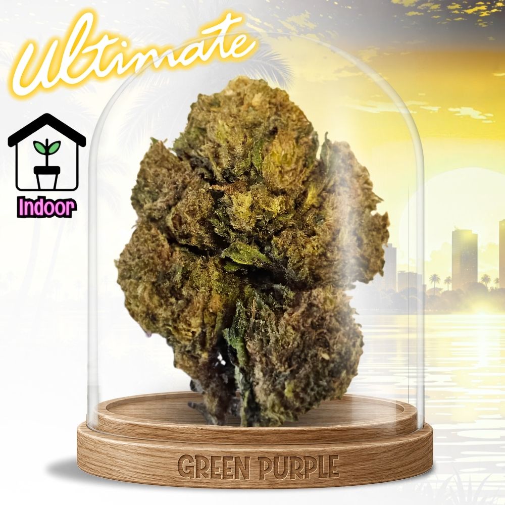 Fleur Skywalker OG Ultimate