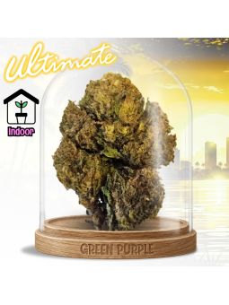 Fleur Skywalker OG Ultimate