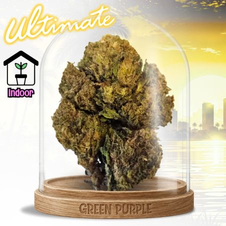 Fleur Skywalker OG Ultimate