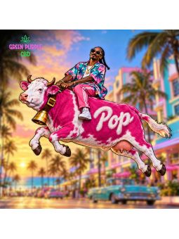 PROMOTION Fleur Milka Pop CBD 🐄