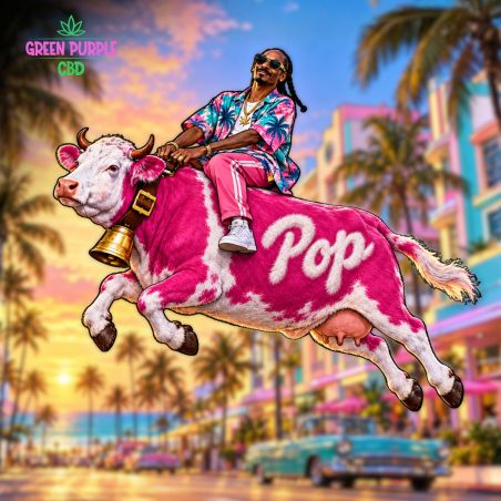 PROMOTION Fleur Milka Pop CBD 🐄