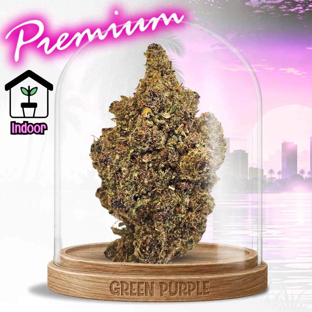 PROMOTION Fleur Milka Pop CBD 🐄