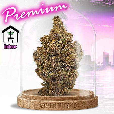 PROMOTION Fleur Milka Pop CBD 🐄
