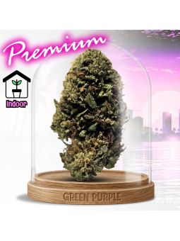 Fleur Chem Dogg CBD
