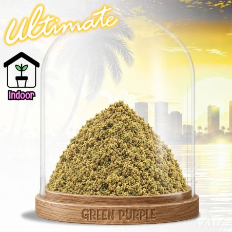 PROMOTION TRIM (poudre) de Fleur Sky OG✈️