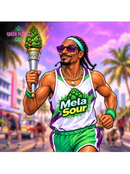 PROMOTION Fleur Mela Sour CBD 🏆Multi-primée !