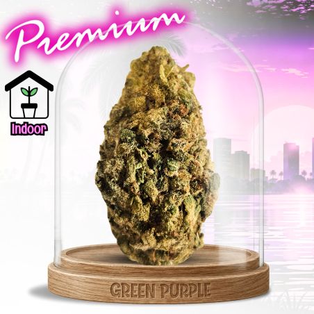 PROMOTION Fleur NLX CBD 💊