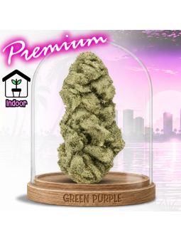 PROMOTION LIMITEE / Fleur Lemon Pop 🍋 CBD