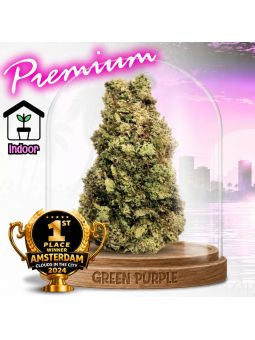 PROMOTION Fleur Mela Sour CBD 🏆Multi-primée !