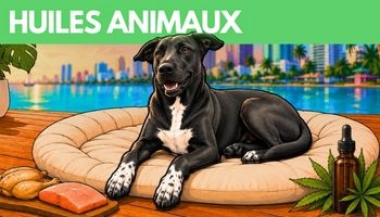 HUILES ANIMAUX
