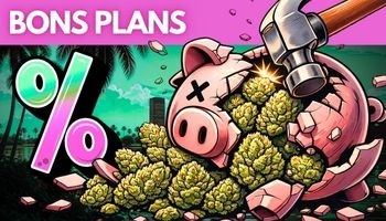 BONS PLANS !
