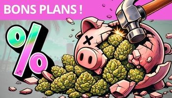 BONS PLANS !