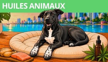 HUILES ANIMAUX