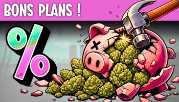 BONS PLANS !