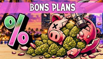 BONS PLANS !