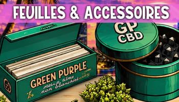 ACCESSOIRES