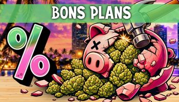 BONS PLANS !